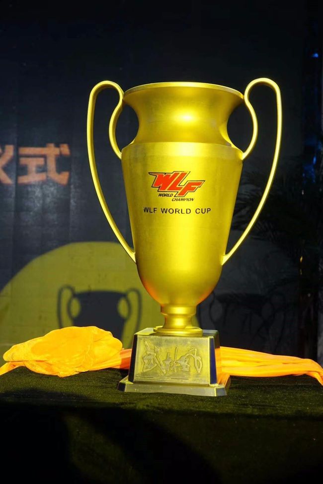 爱游戏在线-包含即时盘口战队状态火热，誓夺总冠军的词条