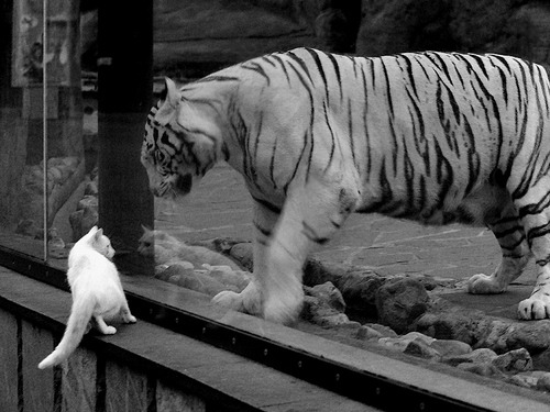 爱游戏-红土之心与硬地之魂，当蒙特卡洛的古老旋律点燃总决赛的现代战歌