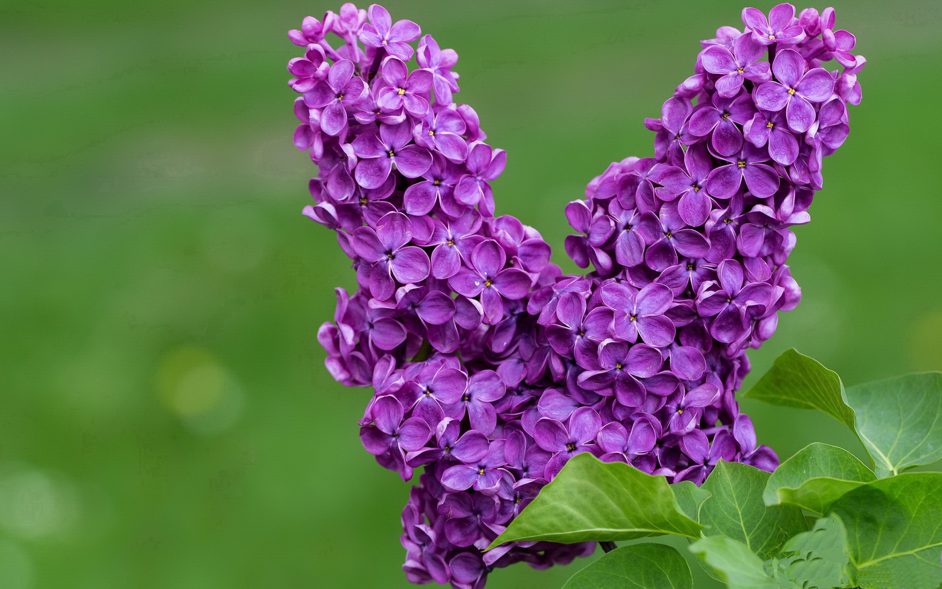 红土试炼，纳达尔在蒙特卡洛铺就法网逆转的荆棘王座