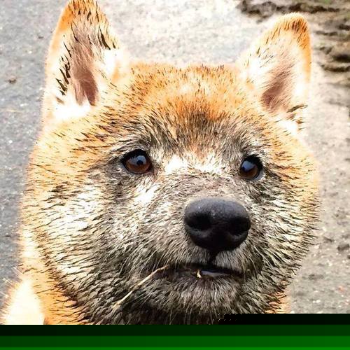 爱游戏在线-东方魔法闪耀迈阿密！天津队惊世逆转，拉文绝杀封神