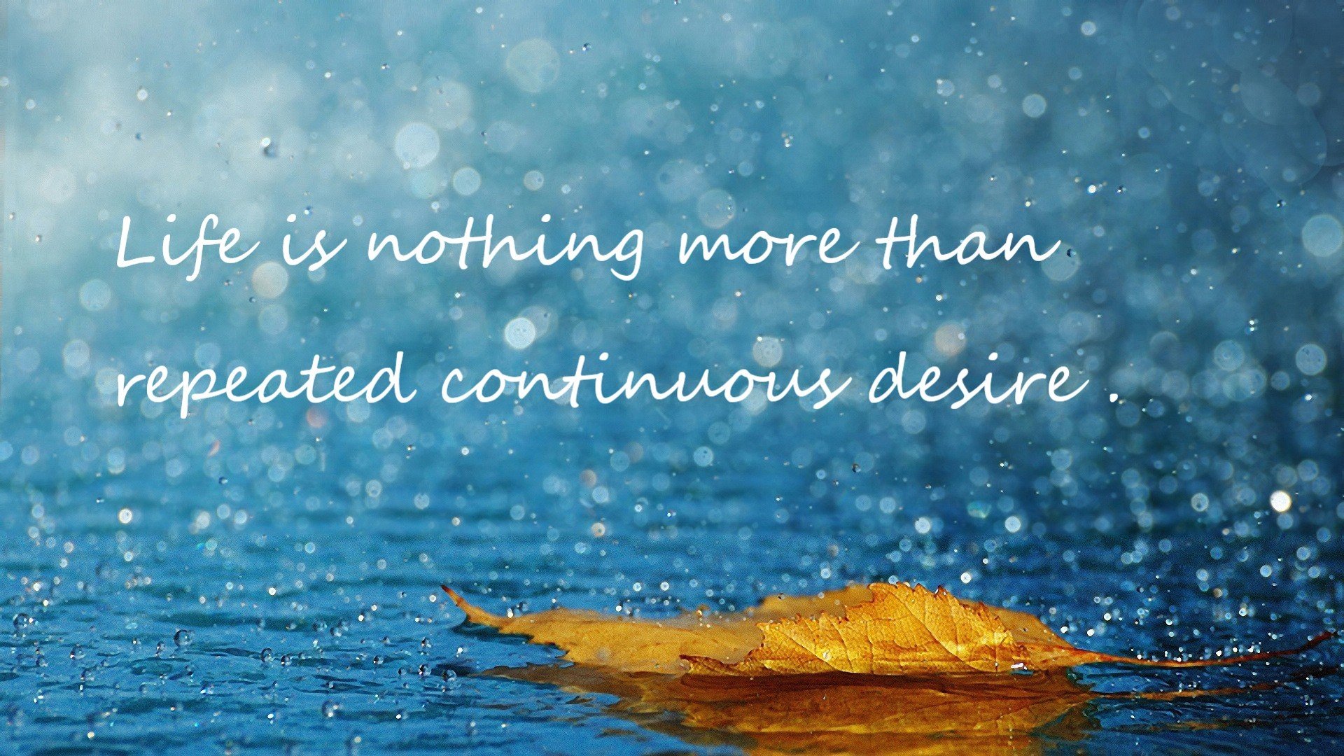 时空裂缝里的外滩哨声，当NBA雷霆队客场掀翻上海大鲨鱼