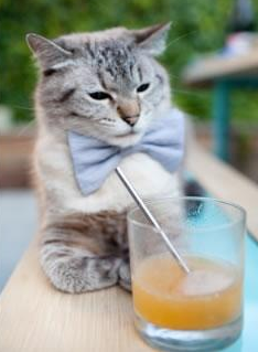 当伯纳乌的月光照进北伦敦的旧巷,一场撕裂足球次元壁的错误狂欢