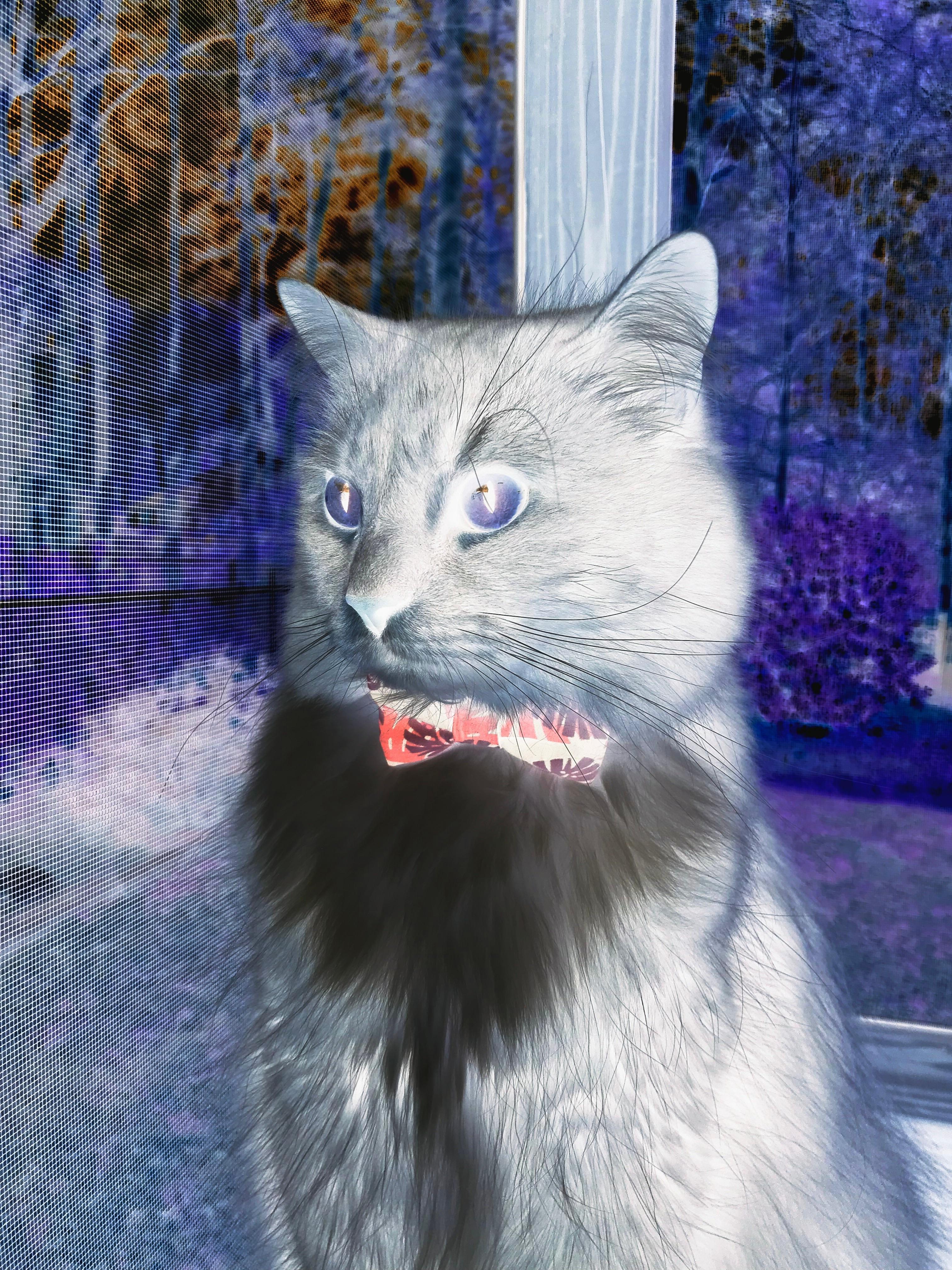 他的三分球，比法拉利尾翼更精准，莫兰特如何主宰了F1年度争冠之夜