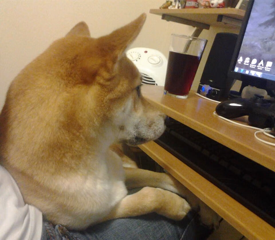 英格兰阴影下的意大利之舞，若日尼奥与雷恩改写欧战叙事