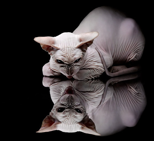 爱游戏APP-当球队如孤舟将沉，阿圭罗，那位从伤病废土中走出的船长