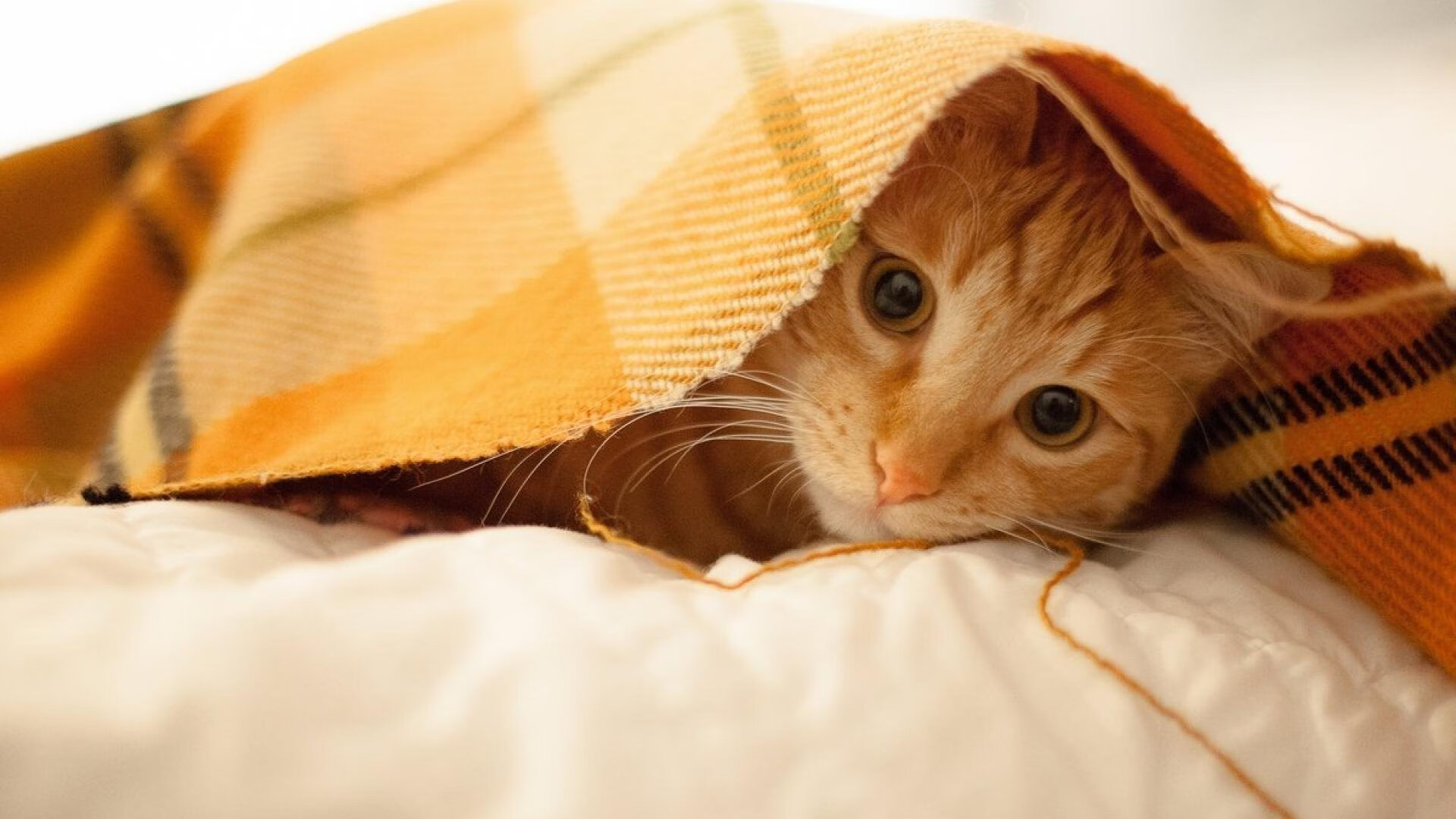 爱游戏娱乐-他是左后卫，却成了AC米兰右路那把从天而降的钥匙