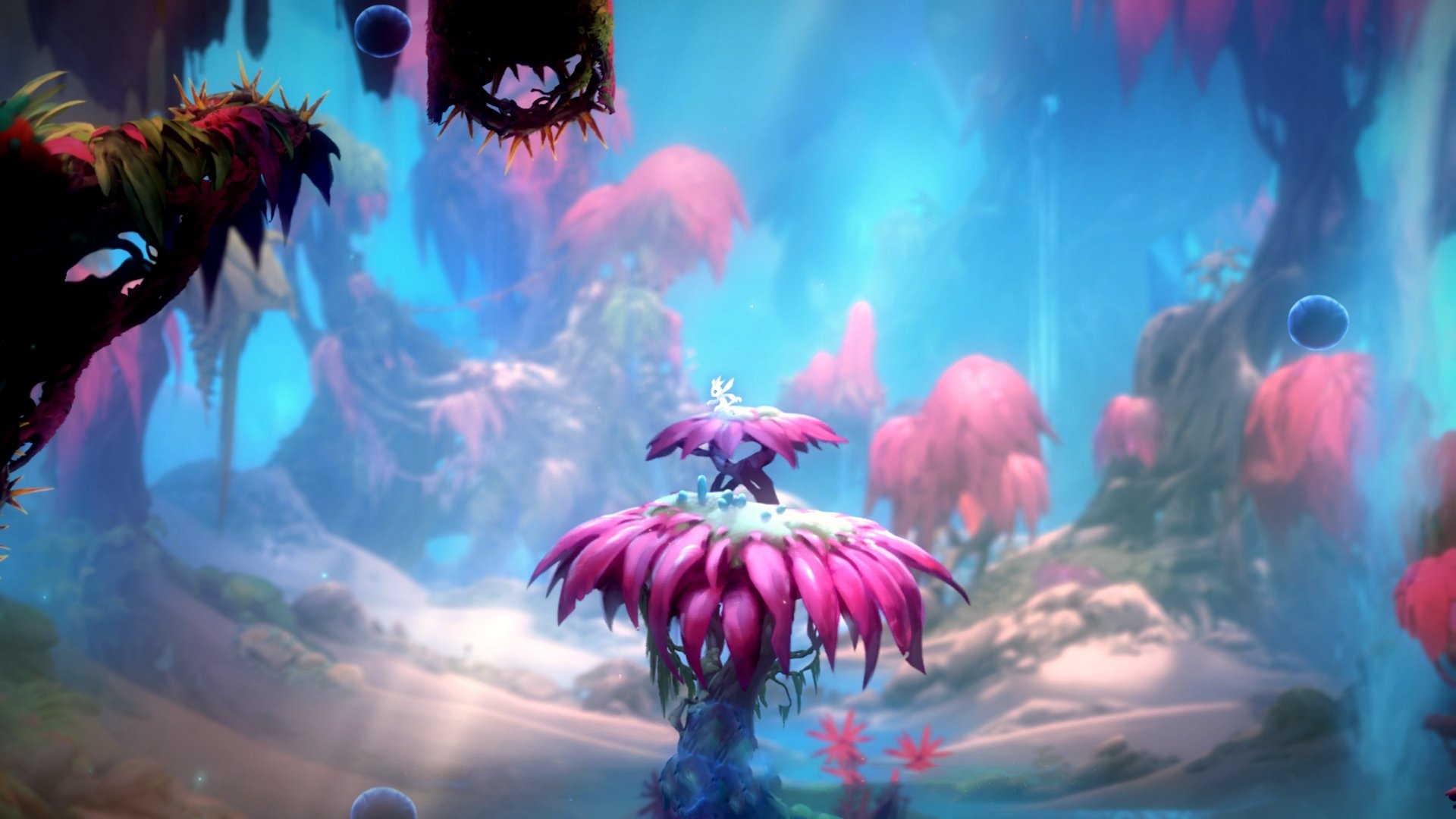 西决生死夜，金玟哉化身黑暗骑士