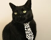 猛龙窒息节奏锁广东，马克西一剑封喉定乾坤