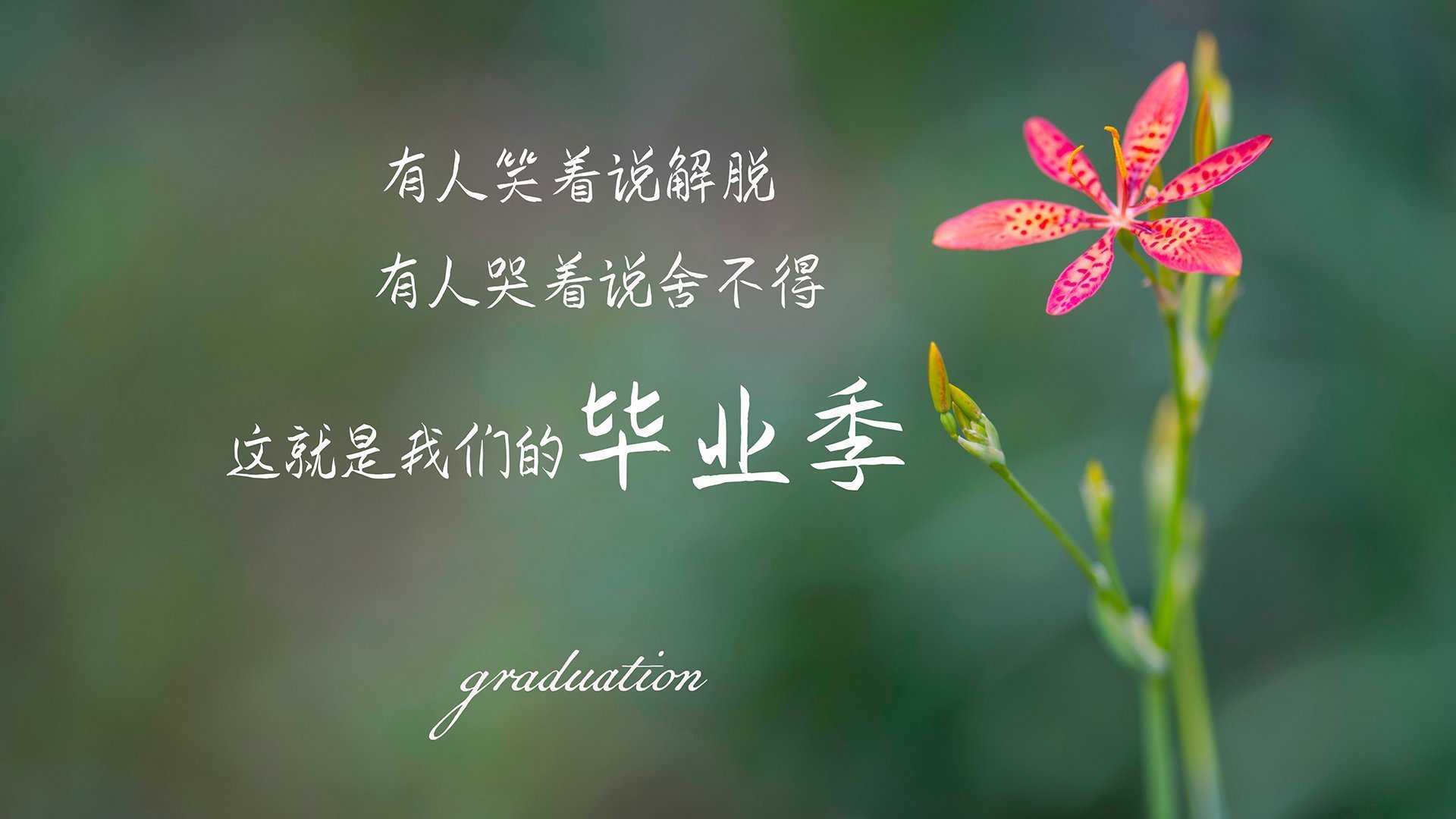 当东契奇化身控场大师,湖人筑起叹息之墙—现代篮球的两种统治力叙事