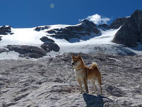 戈贝尔的2026预言,在杭州想起明年的世界