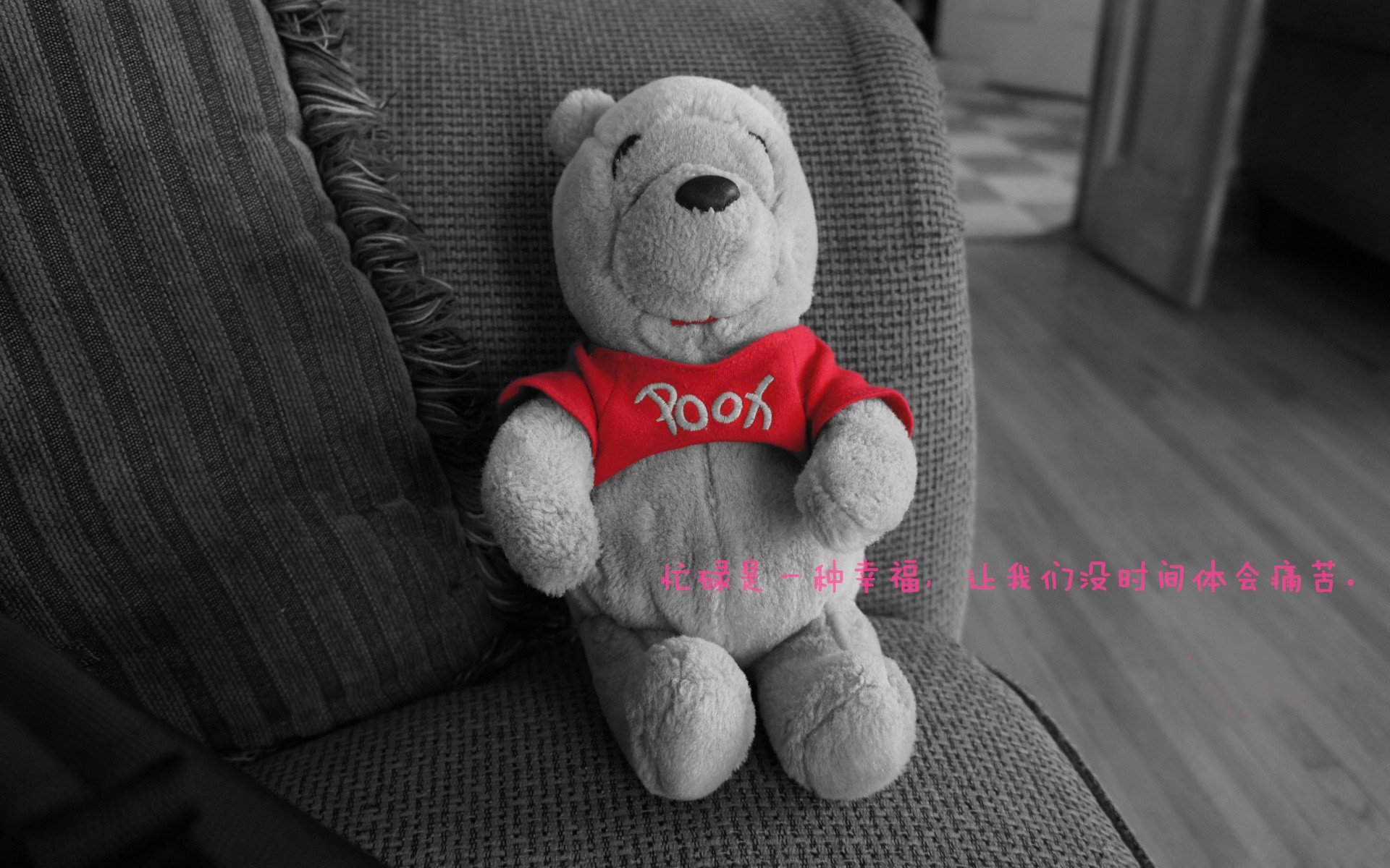 唯一焦点,猛龙在世界排名争夺战中强行终结吉林队