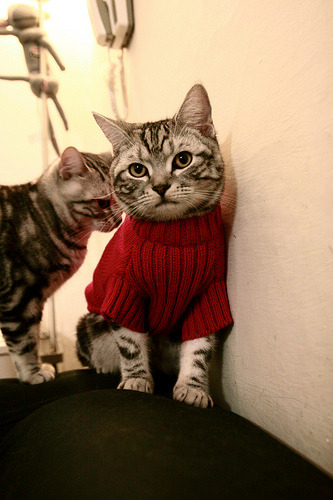 双重奇迹,里昂的绝地反击与伊萨克的跨界救赎