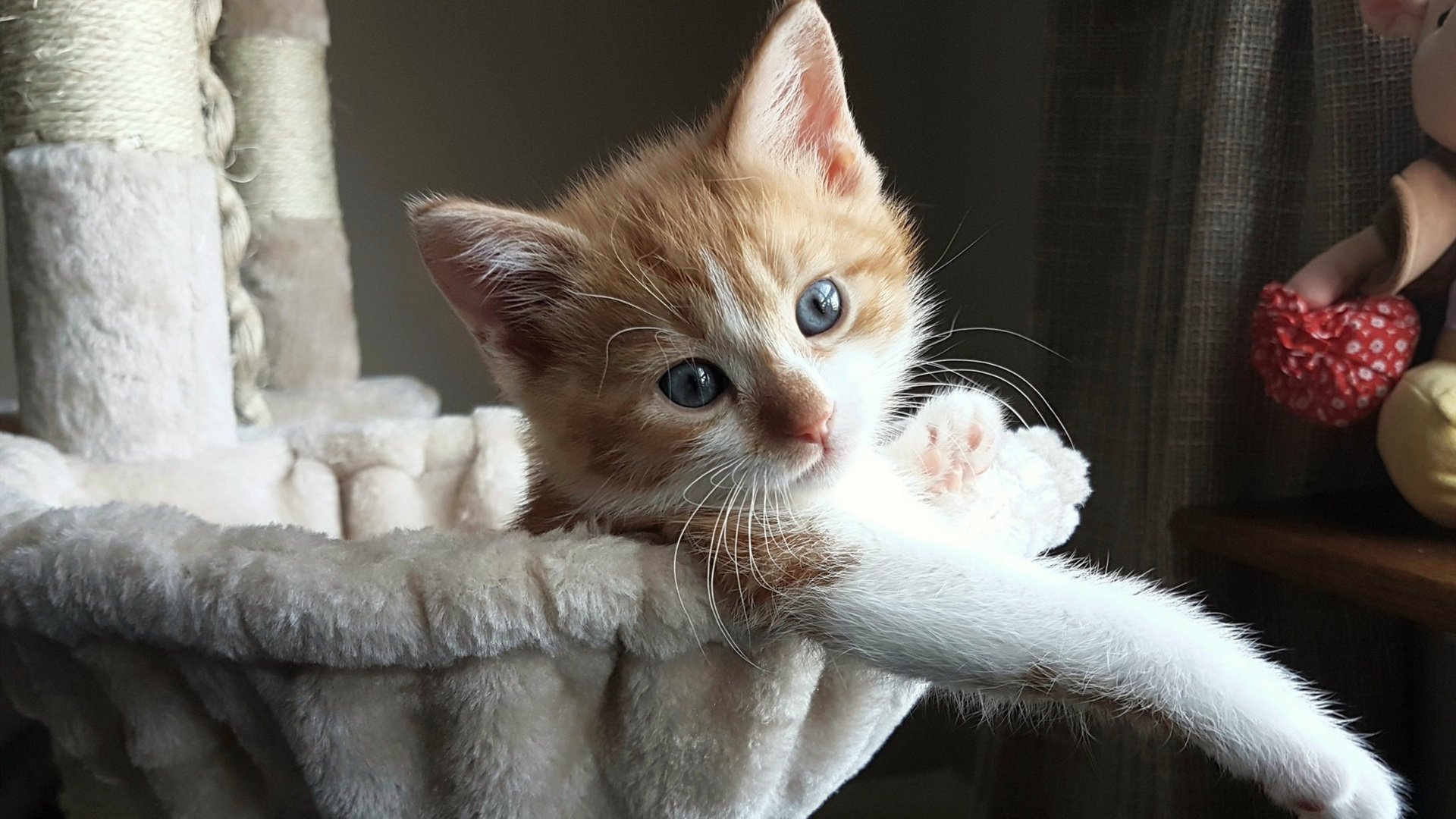 马德里竞技,没有终场哨的胜利