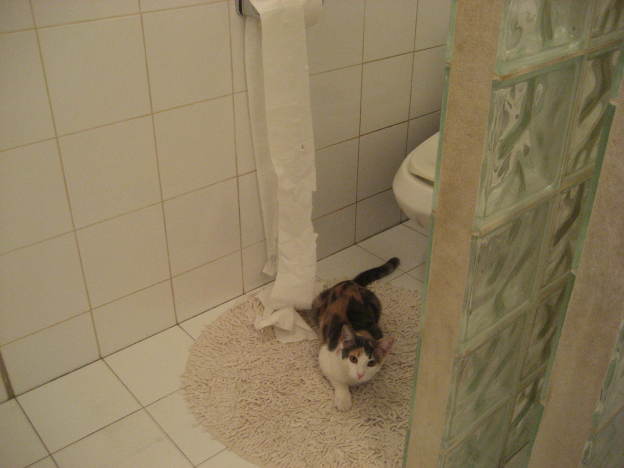 唯一闪光!迪巴拉绝杀乾坤倒转,曼城凭一击终结皇家社会