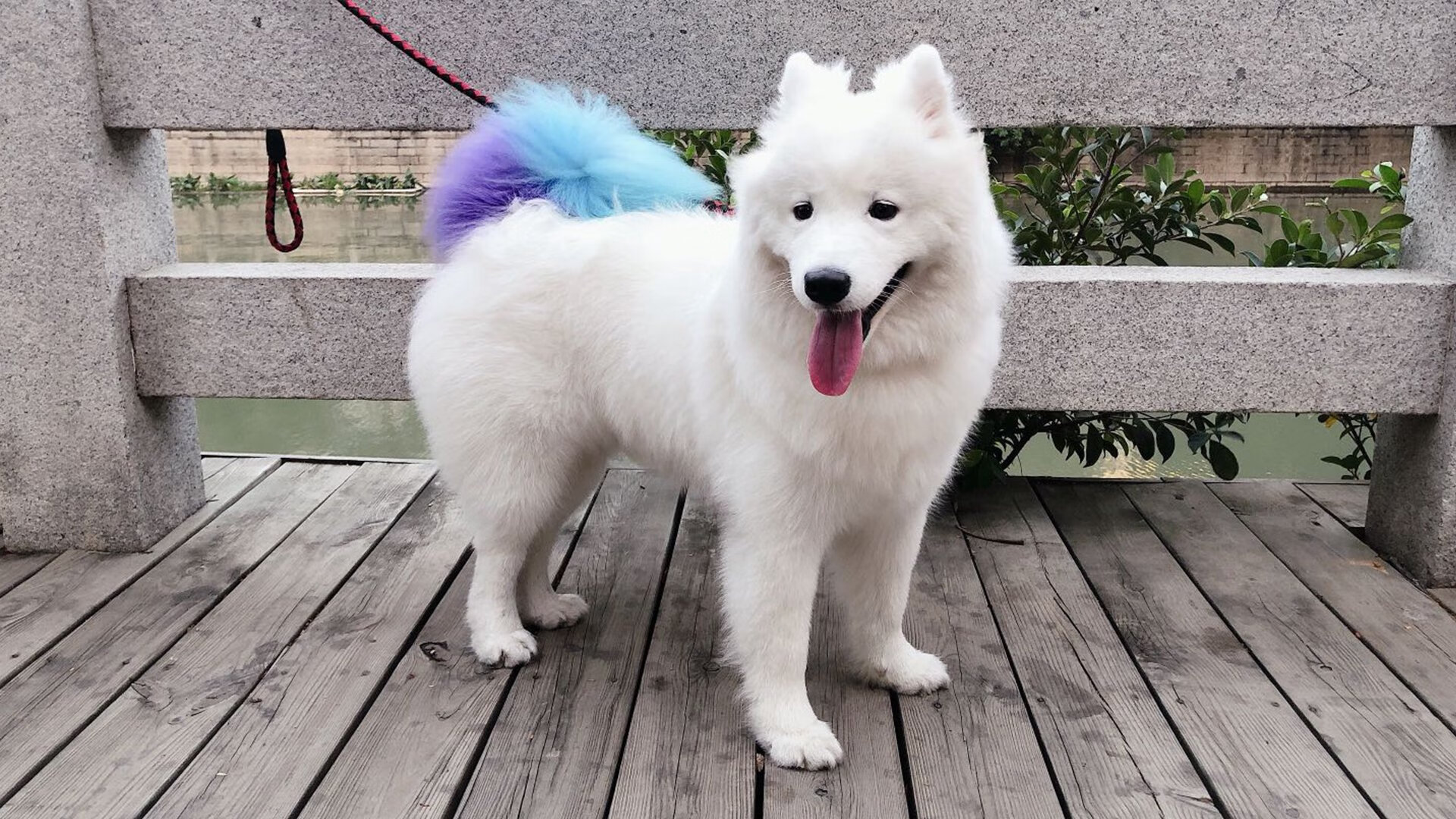 当神话防线遭遇南美烈焰,迪亚斯单骑叩关,哥伦比亚点燃古典之战