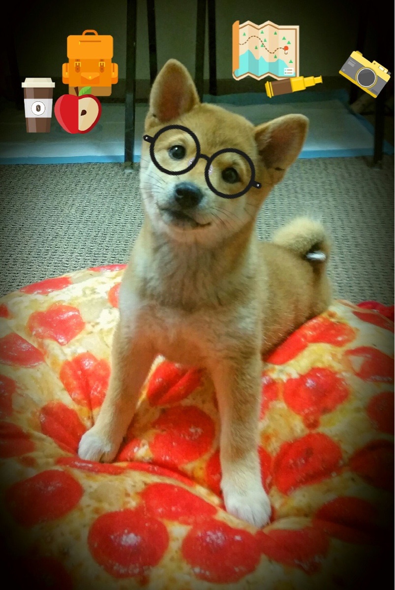 风暴眼与雕塑家，班凯罗的42分如何将魔术变为东部的不可能拼图