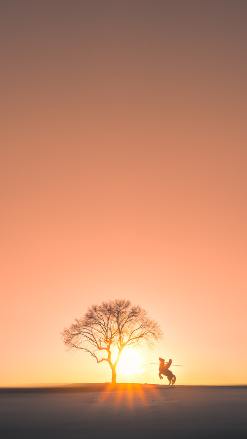 王权不可撼动，国王队战术铁幕全面压制山西，浓眉禁区独舞演绎统治美学