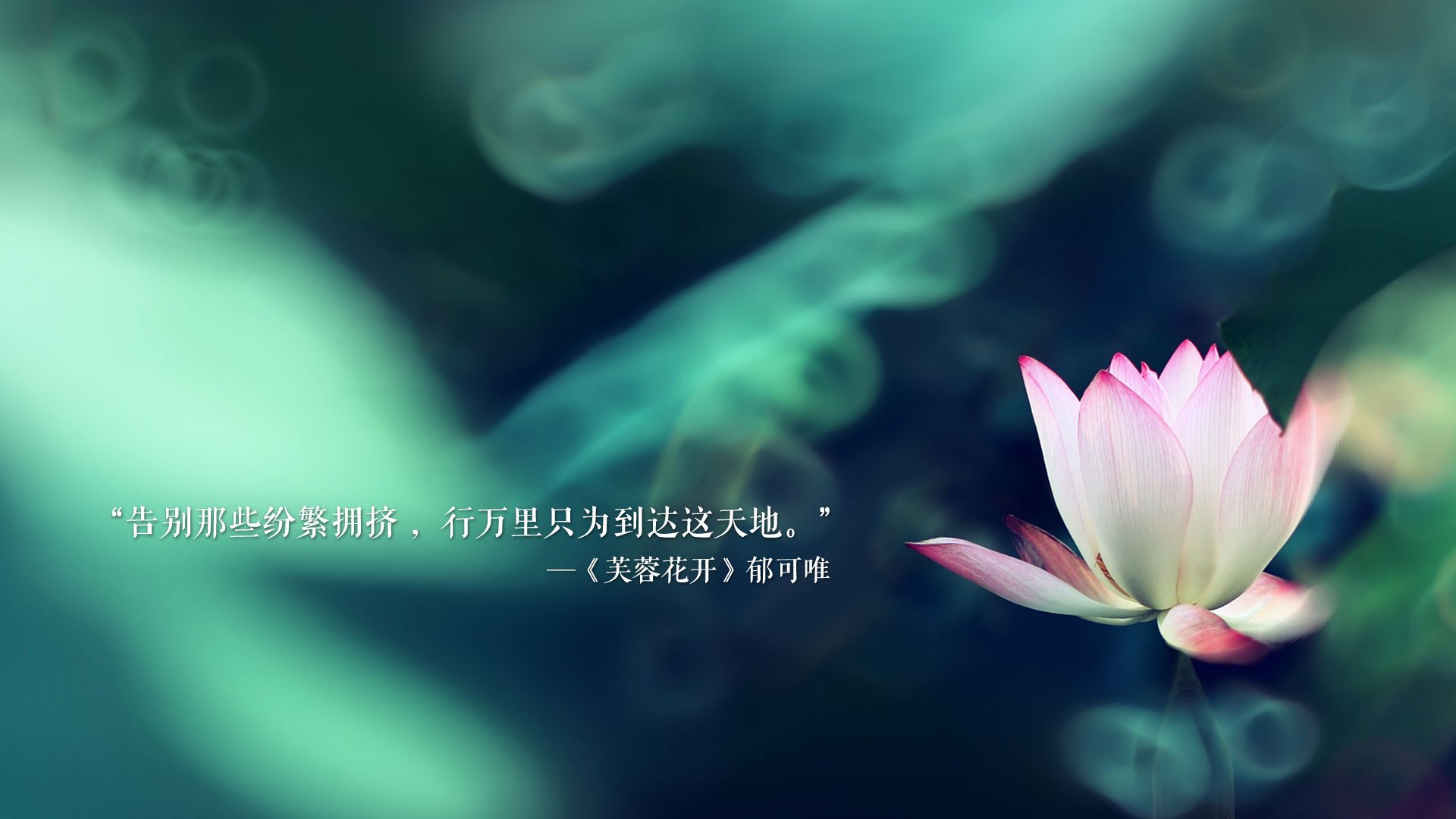 2026世界杯H组绝唱，斯洛伐克逆转伊朗，孙兴慜在质疑声中完成致命一击