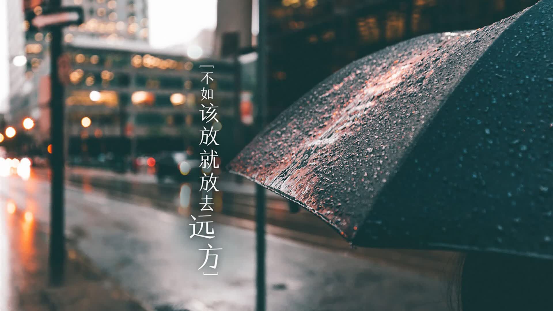 橙衣折戟，高原雄鹰啸傲D组，厄瓜多尔三球横扫荷兰，拉什福德剑指苍穹